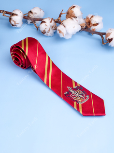 Галстук унисекс Fantasy Earth галстук123 красный
