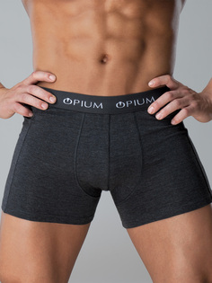 Трусы мужские Opium R45 серые 4XL