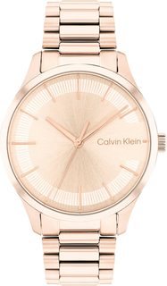 Наручные часы мужские Calvin Klein 25200042