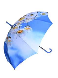 Зонт женский ZEST 21685 небесно-голубой