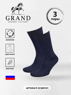 Комплект носков мужских Гранд ZCmr101 синих 25, 3 пары