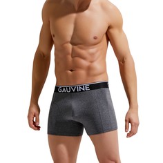 Трусы мужские GAUVINE 3011 серые M