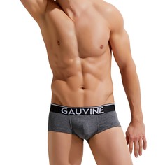 Трусы мужские GAUVINE 3005 серые S
