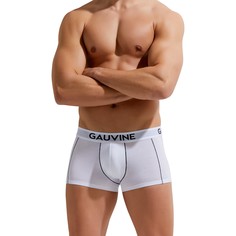 Трусы мужские GAUVINE 3002 белые XL