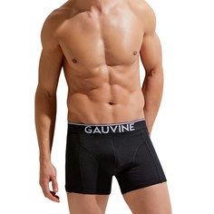 Трусы мужские GAUVINE 3011 черные S