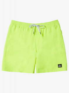 Мужские плавательные шорты Everyday Solid Volley 15" Quiksilver