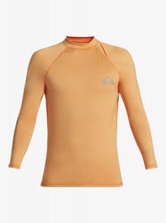 Мужской рашгард с длинным рукавом Everyday Quiksilver