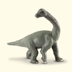 Фигурка динозавра Детёныш Брахиозавра Collecta