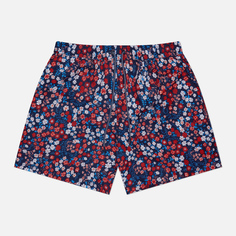 Мужские шорты Hackett Ivy Swim, цвет синий, размер S