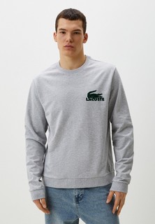 Свитшот Lacoste