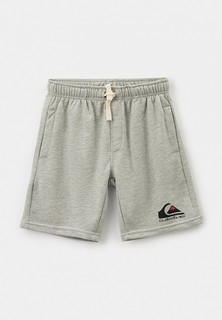 Шорты спортивные Quiksilver