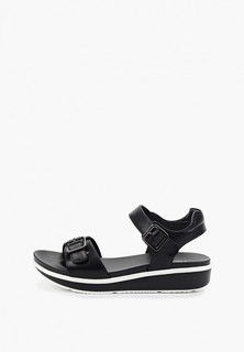 Сандалии T.Taccardi