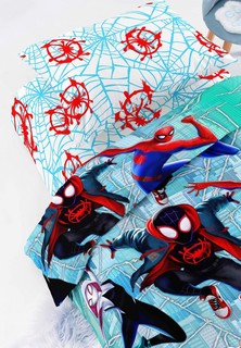 Постельное белье 1,5-спальное Juno