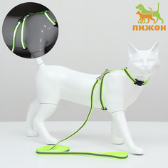 Комплект для кошек светоотражающий,ширина 1 см,шлейка 21-35 см,поводок 120 см, зеленый Пижон