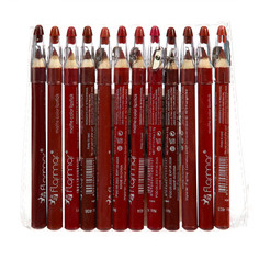 Набор нюдовых карандашей для губ, 12 цветов, матовые No Brand