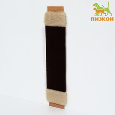 Когтеточка Пижон