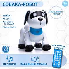 Робот собака IQ BOT