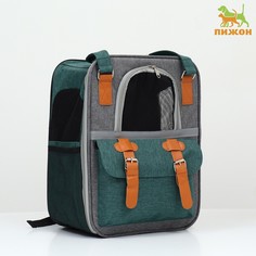 Рюкзак-переноска для животных, 52 х 22 х 41 см, зеленый Пижон