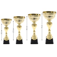 Кубок 134c, зол., подставка пластик, 27,5 × 10 × 8,5 см Командор