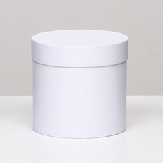 Шляпная коробка белая, 13 х 13 см No Brand