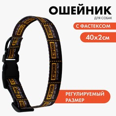 Ошейник Пушистое счастье