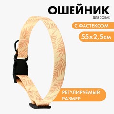 Ошейник paradise life, застежка - фастекс, 2.5 см, 40-55 см Пушистое счастье