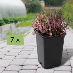 Горшок для рассады, 7 л, d = 21 см, h = 27,5 см, черный No Brand