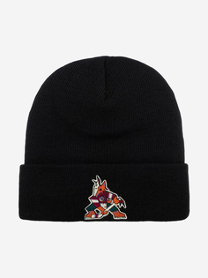 Шапка с отворотом AMERICAN NEEDLE 21019A-PCO Phoenix Coyotes Cuffed Knit NHL (черный), Черный