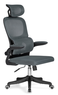 Компьютерное кресло Woodville Sprut dark gray
