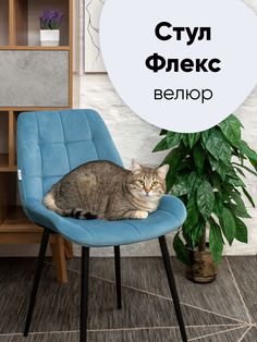 Стул для кухни Stool Group Флекс, велюр пыльно-голубой