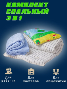 Комплект спальный 3в1 Эконом матрас, подушка, одеяло 748748 No Brand