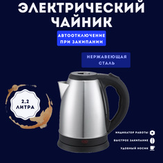 Чайник электрический Safrina 01 2.2 л серебристый