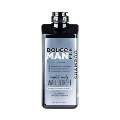 Шампунь против перхоти DOLCE MILK WALL STREET MAN 460 мл