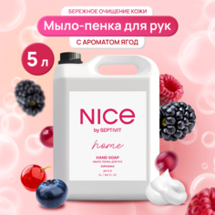 Мыло пенка для рук NICE by Septivit Euphoria 5 л