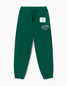Спортивные брюки мужские Gloria Jeans BAC012902 темно-зеленый XXL/182