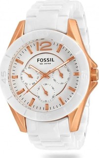 Наручные часы женские Fossil CE1006