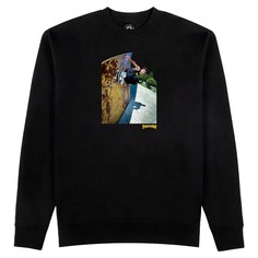 Свитшот мужской Thrasher Mic-E Wallride черный M
