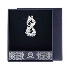 Зажим для денег унисекс Аргента 472ЗЖ10801 серебристый