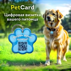 Адресник для собак и кошек PetCard с QR кодом и NFC, голубой, 36х33 мм.