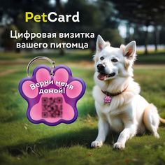 Адресник для собак и кошек PetCard с QR кодом и NFC, розовый, 36х33 мм.