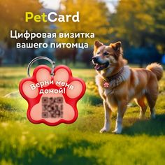 Адресник для собак и кошек PetCard с QR кодом и NFC, красный, 36х33 мм.