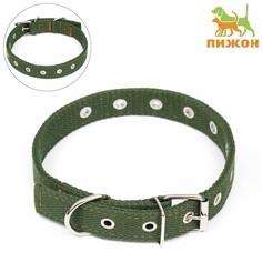 Ошейник для собак Пижон, хаки, брезент, 58 х 2,5 см
