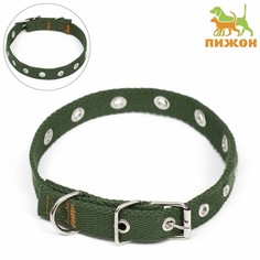 Ошейник для собак Пижон, хаки, брезент, 52 х 2 см