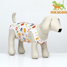 Попона послеоперационная для собак Пижон, унисекс, разноцветный, хлопок, длина спины 28 см