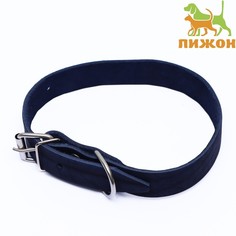 Ошейник для собак однослойный синий, металл, кожа, ОШ 35-45 см Пижон