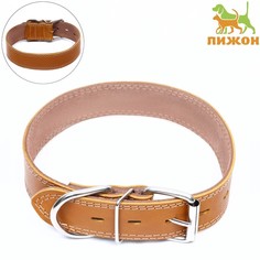 Ошейник для собак Пижон коричневый, кожа, замша, 41-51 см