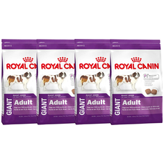 Сухой корм для собак ROYAL CANIN GIANT ADULT для крупных пород, 4шт по 4кг