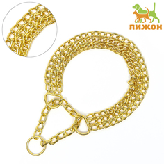 Ошейник-полуудавка для собак Пижон, золотистый, металл, 50 см