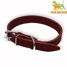 Ошейник для собак 9938427 коричневый, кожа, металл, ОШ 35-45 см Пижон