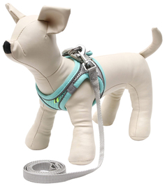 Комплект амуниции Пижон, быстросъемный, XS, поводок 120 см, бирюзовый/серый